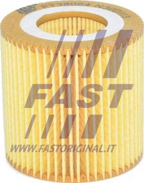Fast FT38064 - Масляный фильтр autodif.ru