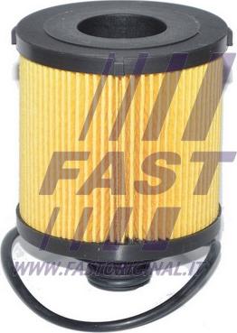 Fast FT38068 - Масляный фильтр autodif.ru