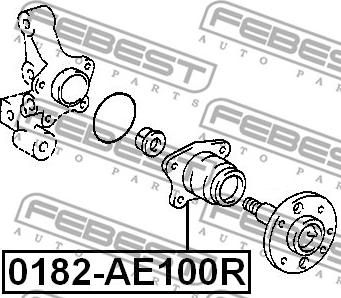 Febest 0182-AE100R - Ступица колеса (комплект) зад прав/лев autodif.ru