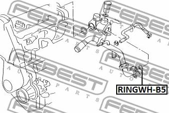 Febest RINGWH-B5 - Кольцо уплотнительное сист охлаждения 6 45 19972005 5 autodif.ru