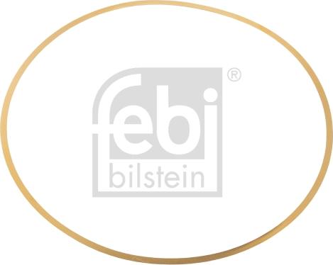 Febi Bilstein 49541 - регул.кольцо гильзы !(латунь)153.2x147.4x0.15 \MB autodif.ru