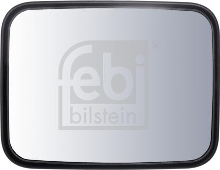 Febi Bilstein 100915 - Широкоугольное зеркало autodif.ru