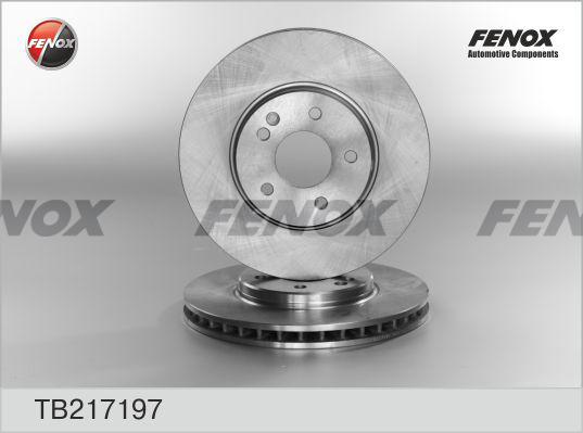 Fenox TB217197 - Тормозной диск autodif.ru