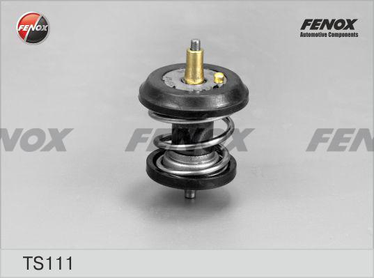 Fenox TS111 - Термостат охлаждающей жидкости / корпус autodif.ru