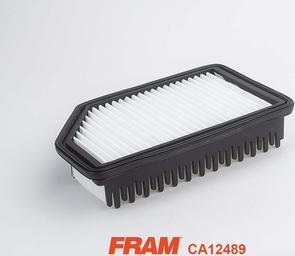 FRAM CA12489 - Воздушный фильтр, двигатель autodif.ru