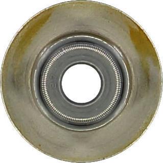 Glaser P76974-00 - Уплотнительное кольцо, стержень клапана autodif.ru