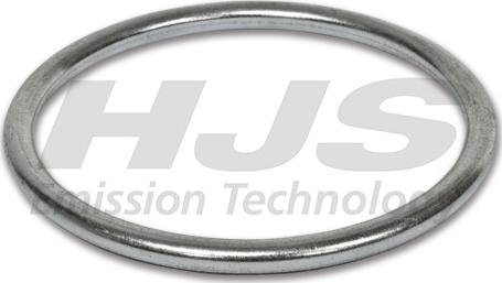 HJS 83 43 7862 - Уплотнительное кольцо, труба выхлопного газа autodif.ru