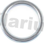 Klarius 410214 - Уплотнительное кольцо, труба выхлопного газа autodif.ru