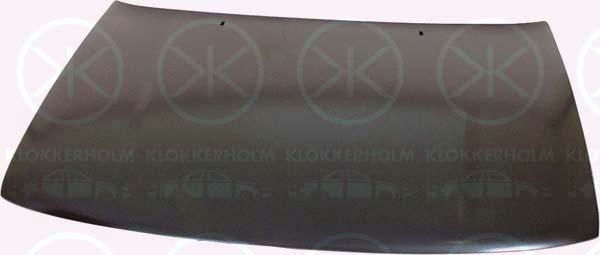 Klokkerholm 9538280 - Капот двигателя autodif.ru