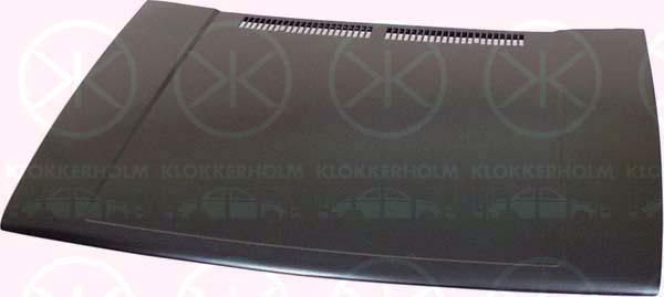 Klokkerholm 9521281 - Капот двигателя autodif.ru