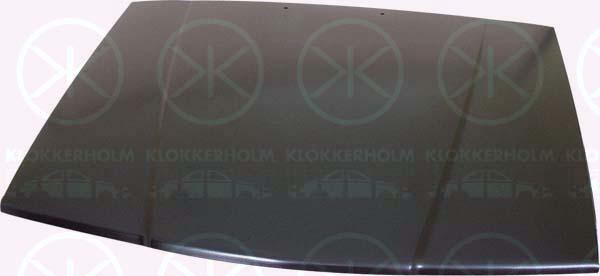 Klokkerholm 9040281 - Капот двигателя autodif.ru