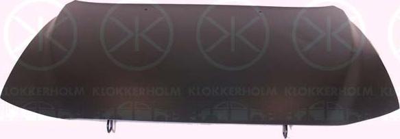 Klokkerholm 9021281 - Капот двигателя autodif.ru