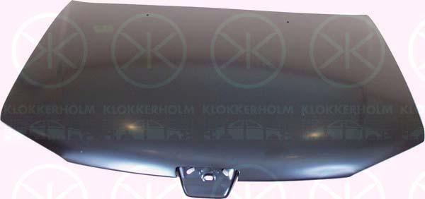 Klokkerholm 5513282A1 - Капот двигателя autodif.ru