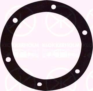 Klokkerholm 50990097 - Прокладка, датчик уровня топлива autodif.ru
