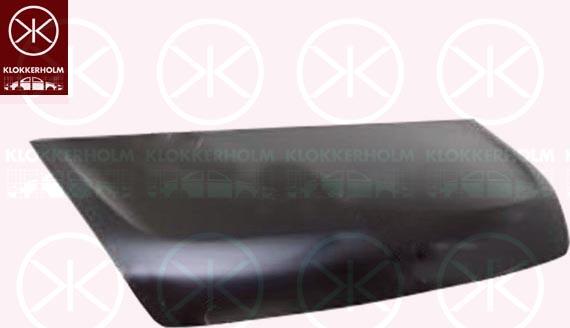 Klokkerholm 6089280 - Капот двигателя autodif.ru
