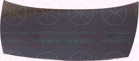 Klokkerholm 0519280 - Капот двигателя autodif.ru