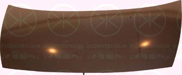Klokkerholm 0519281 - Капот двигателя autodif.ru