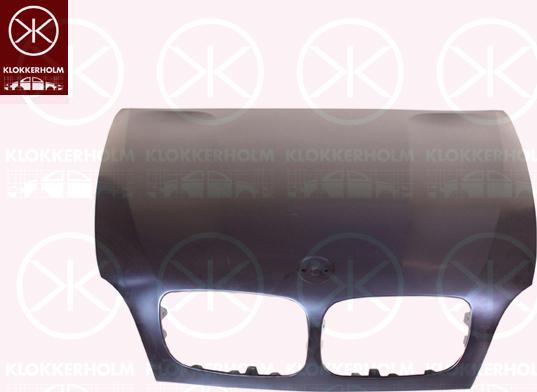 Klokkerholm 0096281 - Капот двигателя autodif.ru
