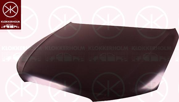 Klokkerholm 0029281A1 - Капот двигателя autodif.ru