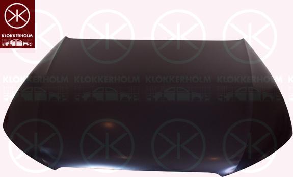 Klokkerholm 0029281 - Капот двигателя autodif.ru