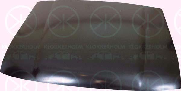 Klokkerholm 8133280 - Капот двигателя autodif.ru