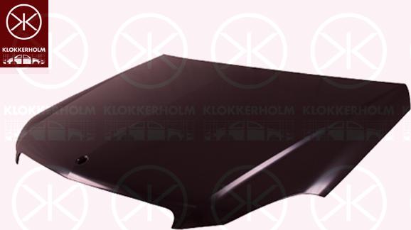 Klokkerholm 3518282 - Капот двигателя autodif.ru