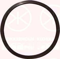 Klokkerholm 25990096 - Прокладка, датчик уровня топлива autodif.ru