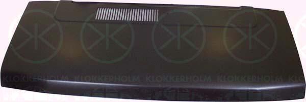 Klokkerholm 2096280 - Капот двигателя autodif.ru