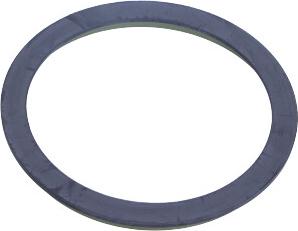 Maxgear 27-0713 - Зубчатое кольцо для датчика ABS autodif.ru