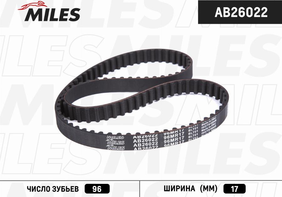 Miles AB26022 - Комплект зубчатого ремня ГРМ autodif.ru