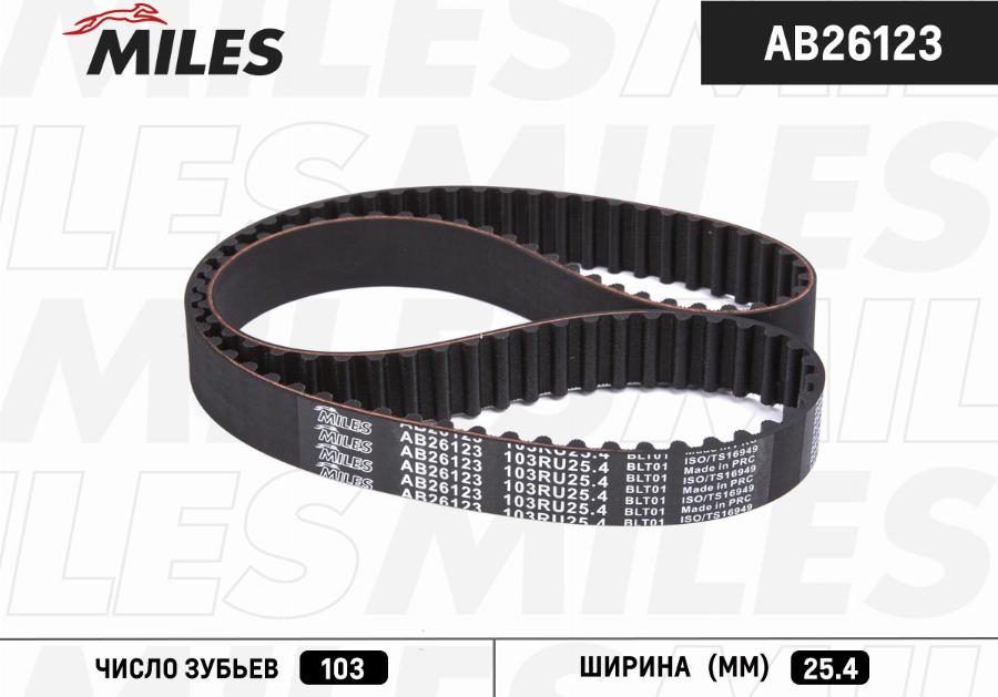 Miles AB26123 - Комплект зубчатого ремня ГРМ autodif.ru