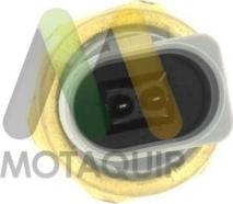 Motaquip LVRP295 - Датчик давления масла, рулевой механизм с усилителем autodif.ru