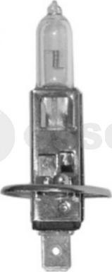 OSSCA 02489 - Лампа накаливания, габаритные фонари autodif.ru