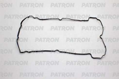 Patron PG6-0197 - Комплект прокладок, крышка головки цилиндра autodif.ru