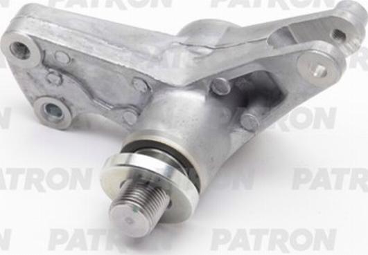 Patron PT52169 - Ремонтный комплект, рычаг натяжки поликлинового ремня autodif.ru