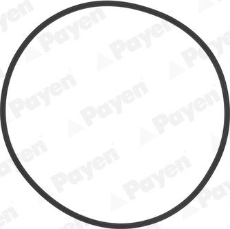 Payen HL5383 - Кольцо гильзы блока цилиндров двигателя уплотнительное autodif.ru