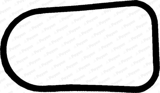 Payen JD5379 - Прокладка, впускной коллектор autodif.ru