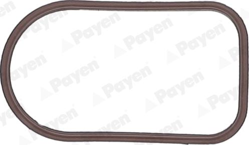 Payen JD6163 - Прокладка, впускной коллектор autodif.ru