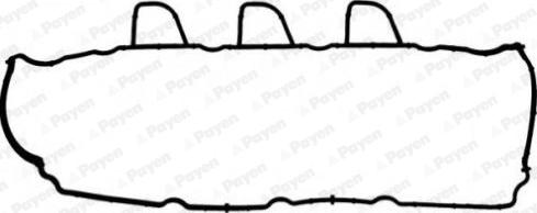 Payen JM7165 - Прокладка, крышка головки цилиндра autodif.ru