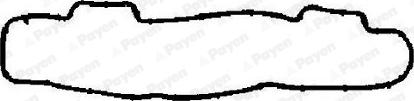 Payen JM7123 - Прокладка, крышка головки цилиндра autodif.ru
