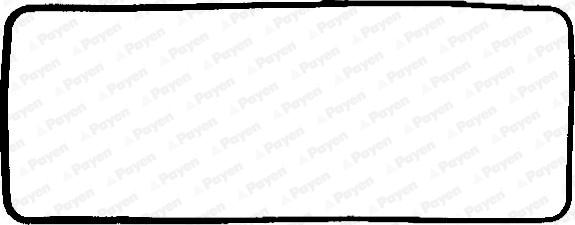 Payen JN292 - Прокладка, крышка головки цилиндра autodif.ru