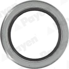 Payen KG5011 - Уплотнительное кольцо, резьбовая пробка маслосливного отверстия autodif.ru
