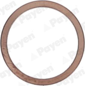 Payen KG5148 - Уплотнительное кольцо, резьбовая пробка маслосливного отверстия autodif.ru