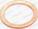 Payen KG5158 - Уплотнительное кольцо, резьбовая пробка маслосливного отверстия autodif.ru