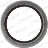 Payen KG5341 - Уплотнительное кольцо, резьбовая пробка маслосливного отверстия autodif.ru
