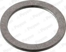 Payen KG5370 - Уплотнительное кольцо, резьбовая пробка маслосливного отверстия autodif.ru