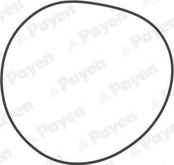 Payen PA708 - Кольцо гильзы уплотнительное 129х2 12x RVI дв.06.20.30-06.20.45. ЯМЗ-650 autodif.ru