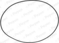 Payen PA708 - Кольцо гильзы уплотнительное 129х2 12x RVI дв.06.20.30-06.20.45. ЯМЗ-650 autodif.ru