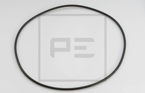 PE Automotive 029.025-00A - Уплотнительное кольцо autodif.ru