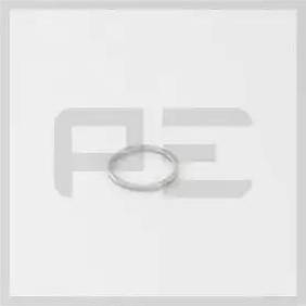 PE Automotive 031.157-00A - Уплотнительное кольцо, резьбовая пробка маслосливного отверстия autodif.ru